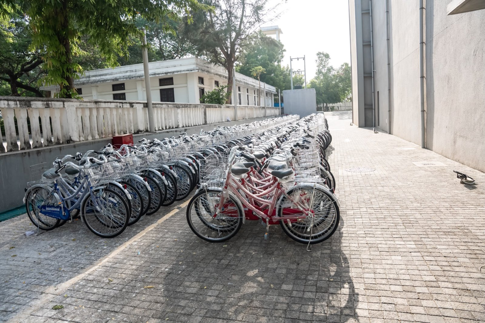Launch of the 'Hope on Wheels 2.0' initiative by Rotary Club at JTCC .